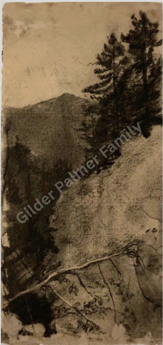 Charcoal Sketch of Berry Blossoms — a Louis Comfort Tiffany Glass Study
