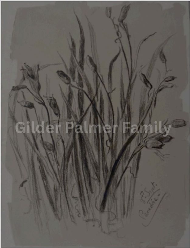The 8th Sept. Paradise — A Louis Comfort Tiffany Glass Study