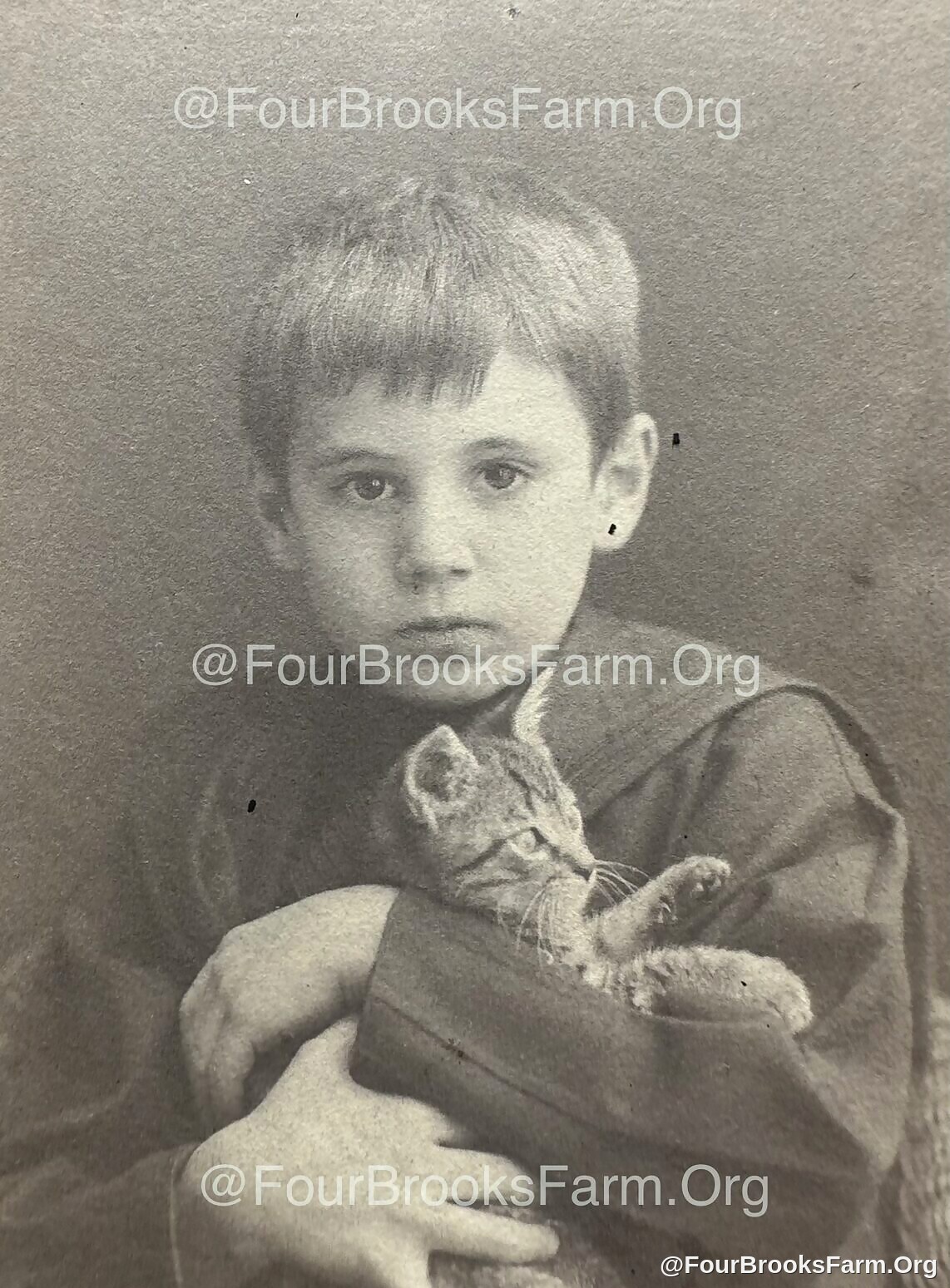 Four Brooks Farm Archive
