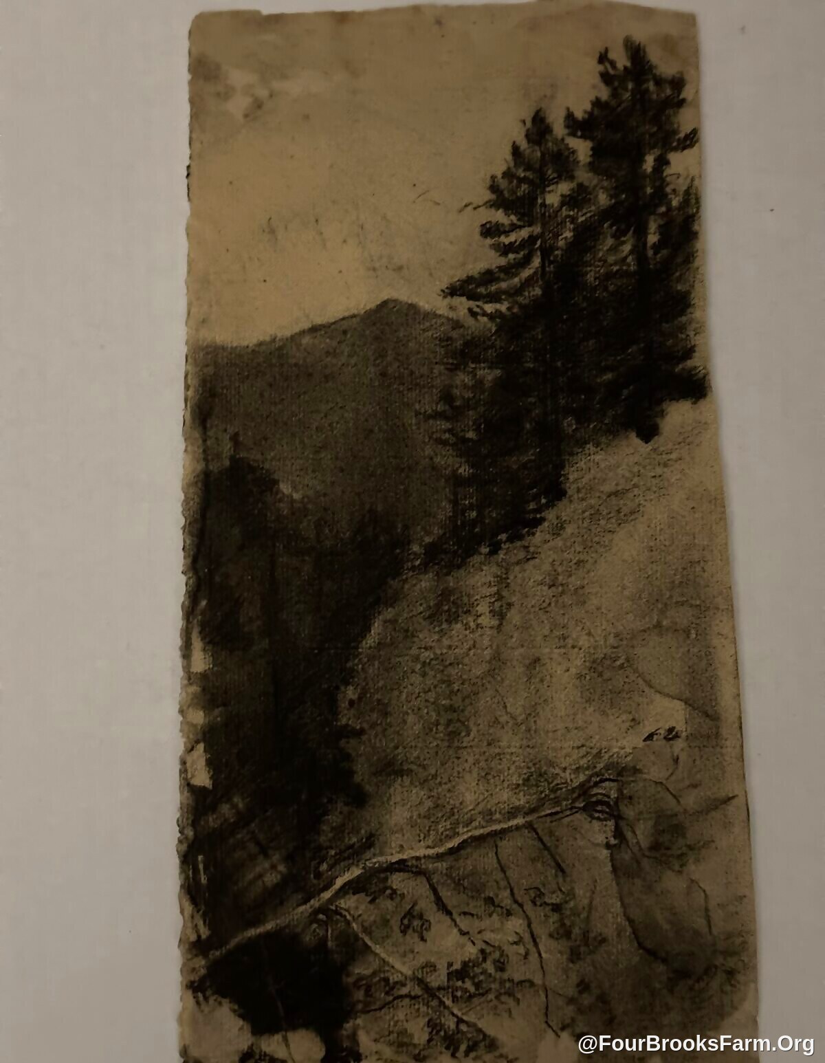 Four Brooks Farm Archive