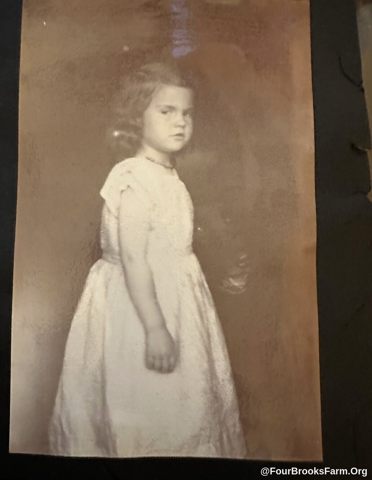 Four Brooks Farm Archive