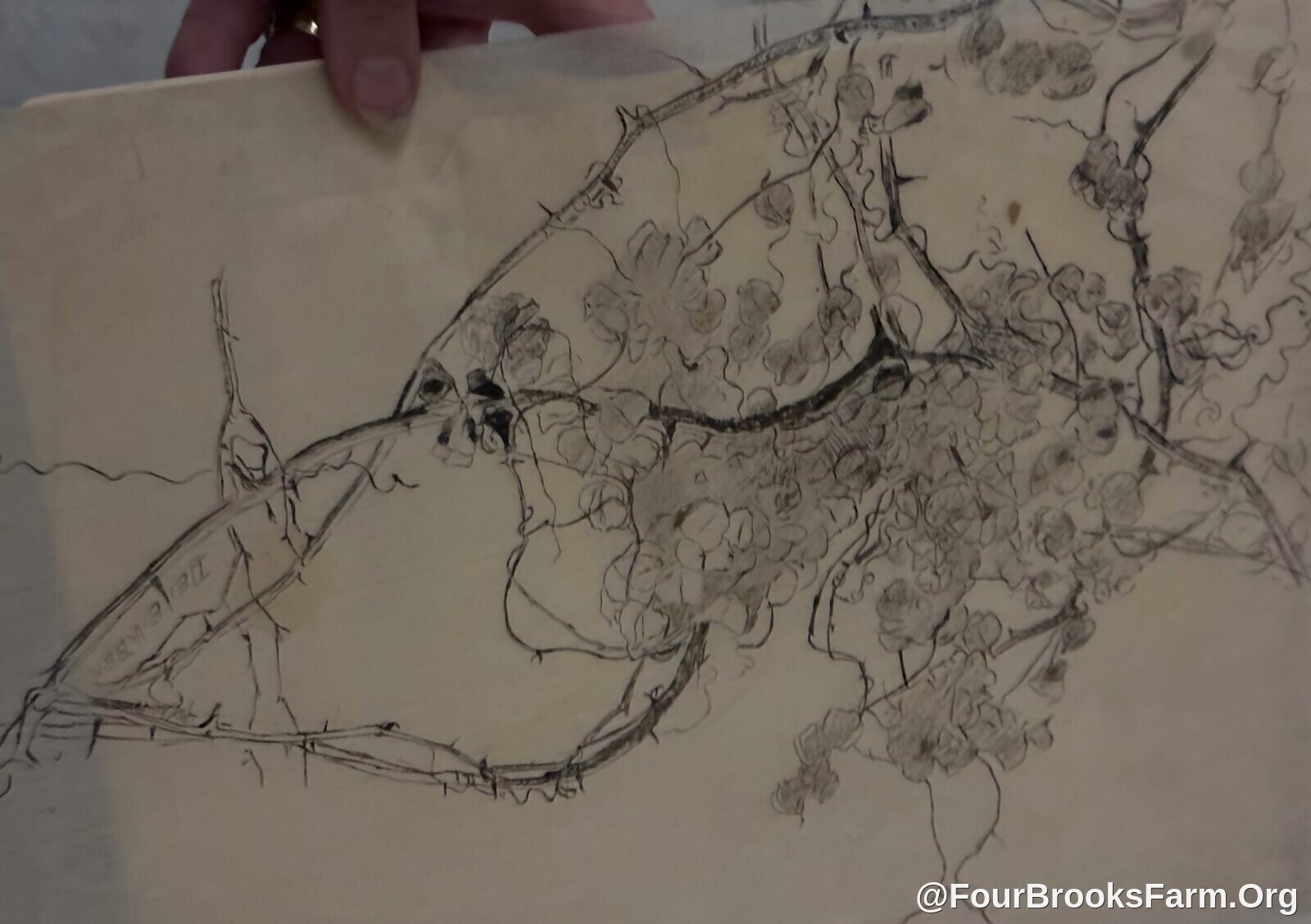 Four Brooks Farm Archive