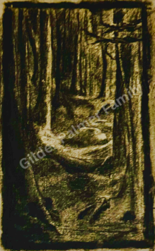 Forest stories