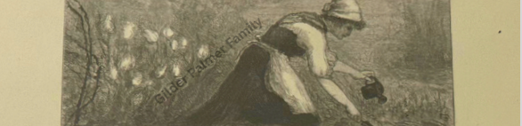 Sketch Of Helena de Kay Gilder In the Garden By Mary Hallock Foote